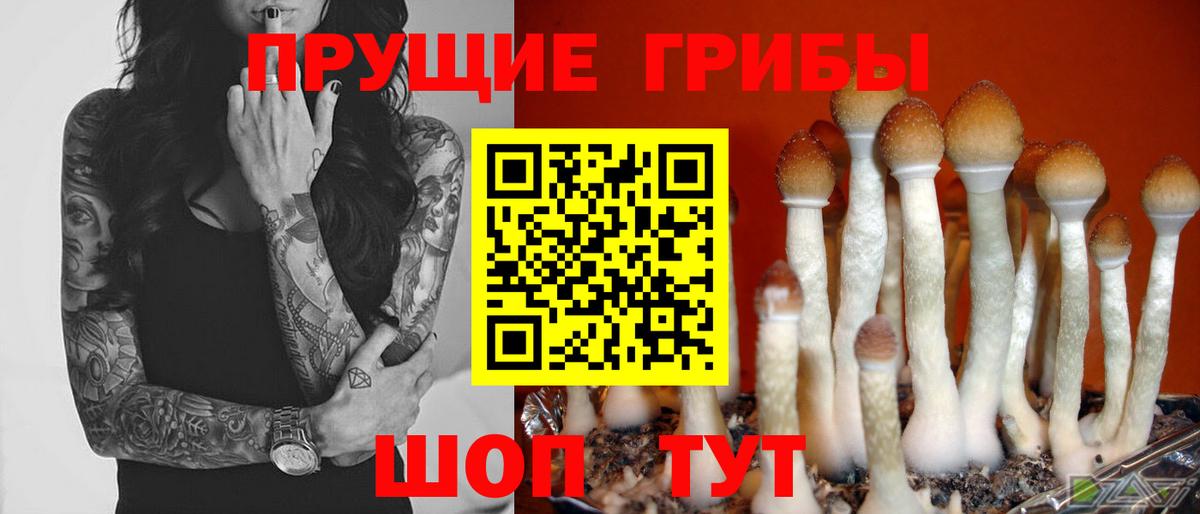 Псилоцибиновые грибы прущие грибы  Вход с VPN  Карасук  Галлюциногенные грибы ЛСД 